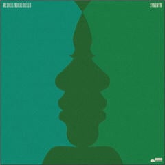 LP Me'Shell NdegéOcello - Synonym (2 LP)