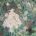 Vinilinė plokštelė Temachii - Flora Maniia (Pink In Bone Coloured) (LP)