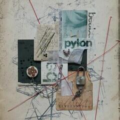 Vinilinė plokštelė beabadoobee - Pylon (Sea Foam Coloured) (LP)