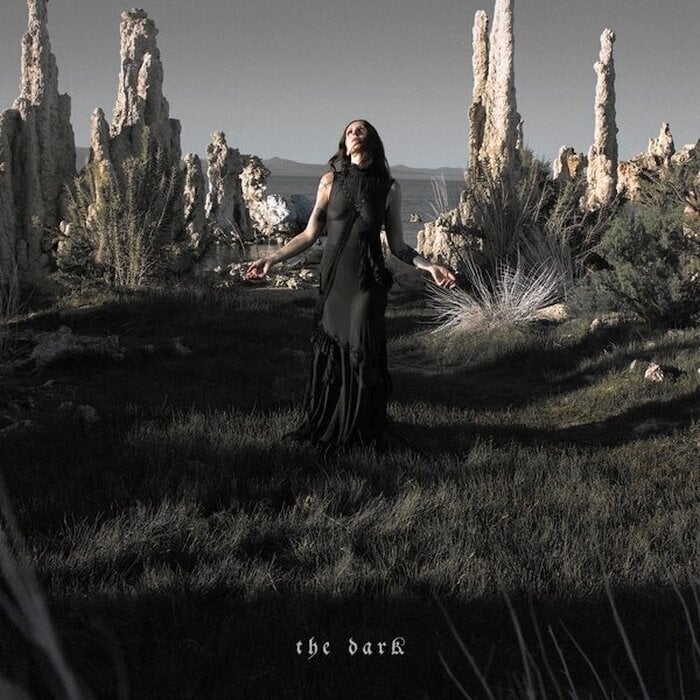 Грамофонна плоча Chelsea Wolfe - The Dark (Forest Green Coloured) (LP)