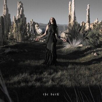 Грамофонна плоча Chelsea Wolfe - The Dark (Forest Green Coloured) (LP) - 1