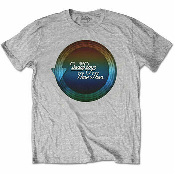 T-Shirt The Beach Boys T-Shirt Time Capsule Grey 2XL - 1