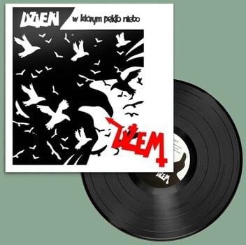 Schallplatte Dżem - Dzień W Którym Pękło Niebo (LP) - 1