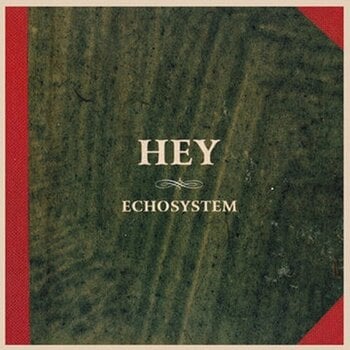Vinyl Record Hey - Echosystem (LP) - 1