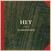 Vinyl Record Hey - Echosystem (LP)