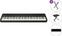 Digitalt scenepiano Roland FP-40 Black Basic SET Digitalt scenepiano Black