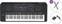 Професионален синтезатор Yamaha PSR-SX920 Basic SET Професионален синтезатор