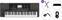Professional Keyboard Korg PA300 Standard SET Professional Keyboard