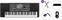 Profesionāla klaviatūra Korg PA600 Standard SET Profesionāla klaviatūra