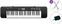 Keyboards ohne Touch Response Casio CTK 240 Basic SET Keyboards ohne Touch Response