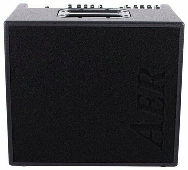 Combo for Acoustic-electric Guitar AER Domino 2A - 1