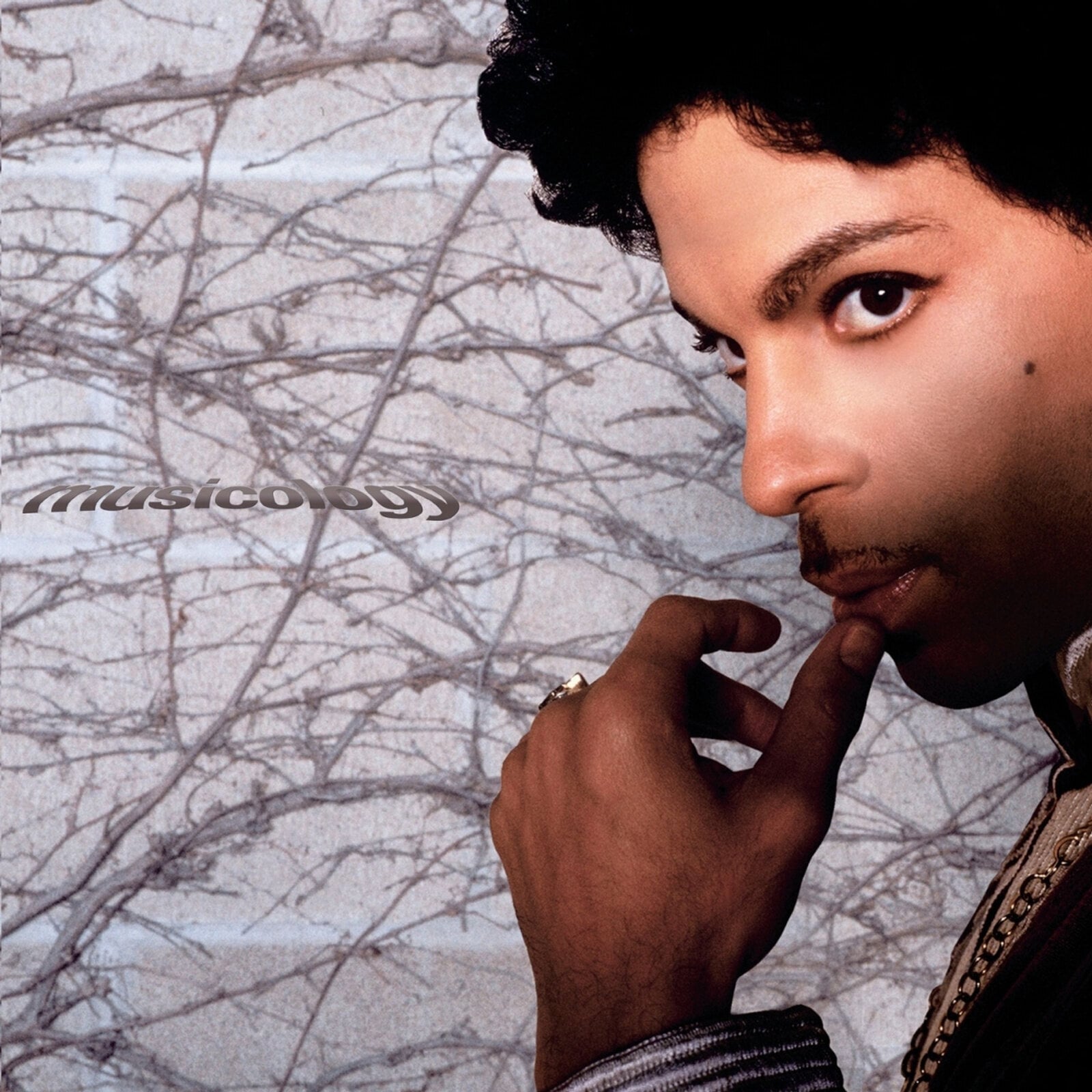 LP ploča Prince - Musicology (2 LP)