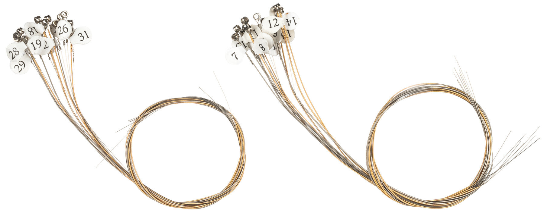 Harfa Shamann Kalyre 31 String Set Harfa