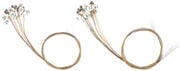 Shamann Kalyre 31 String Set Harfa (Samo odprto)