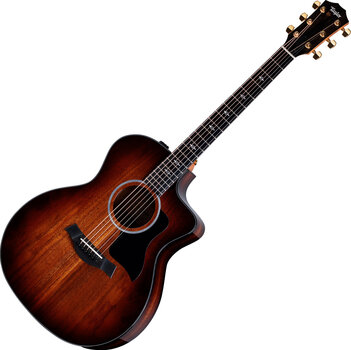 elektroakustisk gitarr Taylor 224ce-K DLX elektroakustisk gitarr - 1
