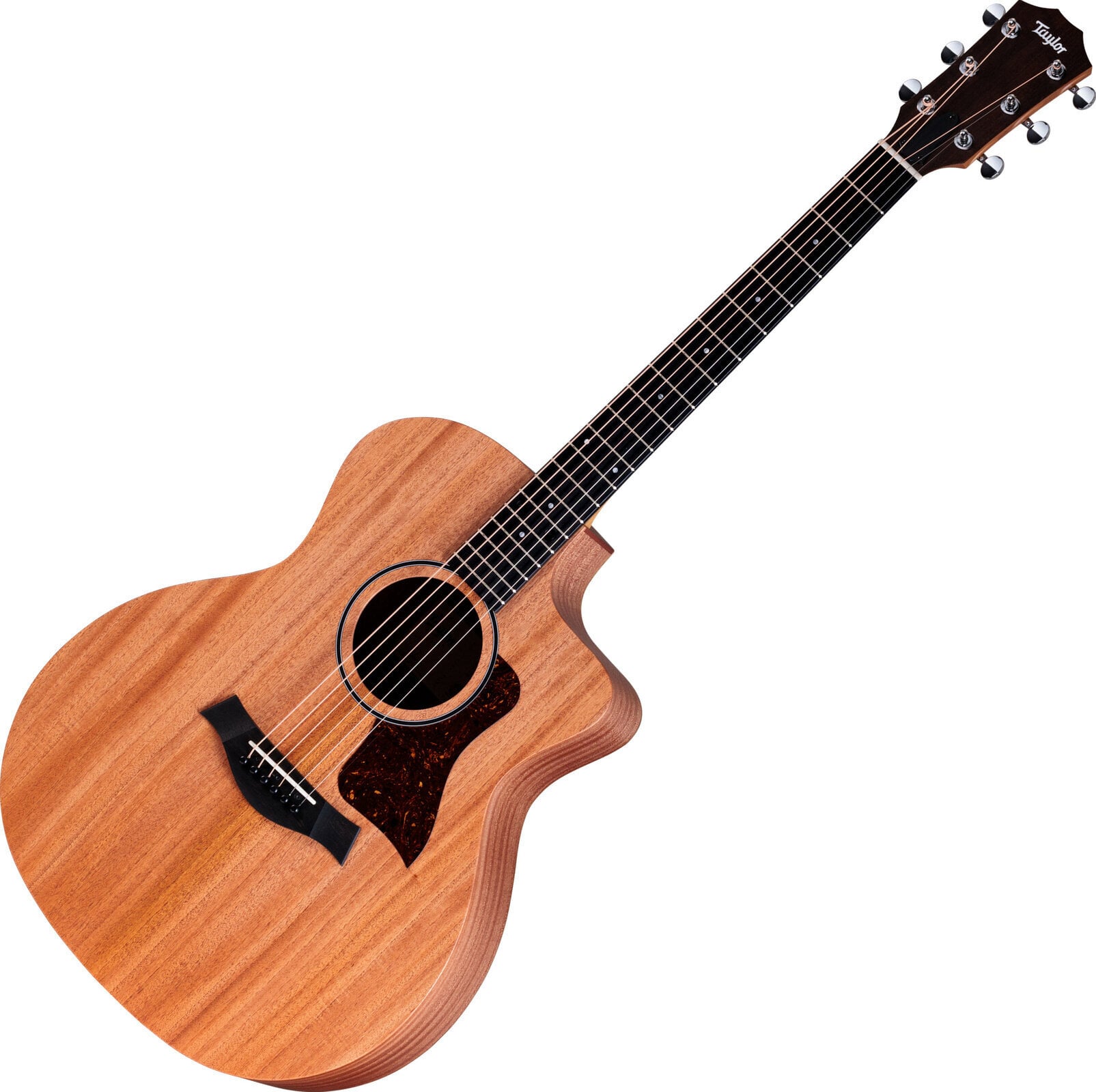elektroakustisk gitarr Taylor 24ce elektroakustisk gitarr
