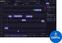 Update / Upgrade / Expansion Synchro Arts RePitch 2 Standard Crossgrade (Digitaalne toode)