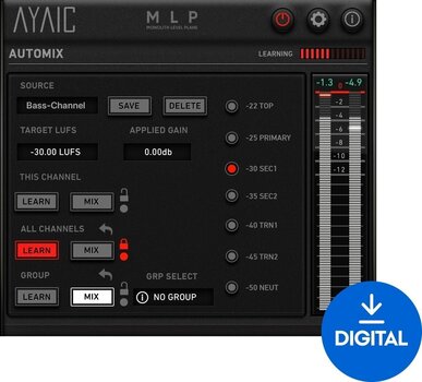 Software Plug-In FX Processor AyaicWare MLP (Digital product) - 1