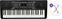 Keyboard without Touch Response Alesis Harmony 54 Basic SET Keyboard without Touch Response