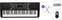 Keyboard bez dynamiky Alesis Harmony 54 Standard SET Keyboard bez dynamiky