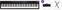 Digitalni stage piano Roland RD-08 Basic SET Digitalni stage piano