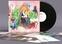 LP platňa Father John Misty - I Love You / Honeybear (LP)