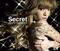 LP platňa Ayumi Hamasaki - Secret (2 LP)