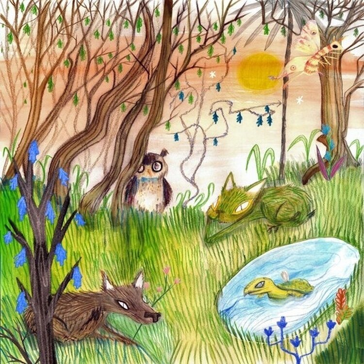 Hanglemez Cavetown - Animal Kingdom (Indie Exclusive) (Orange Coloured) (LP)