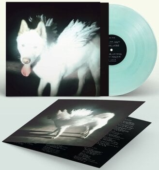 Schallplatte Fat Dog - Cancel Me (I'm Tired) (Indie Exclusive) (Coke Bottle Green Coloured) (LP) - 1
