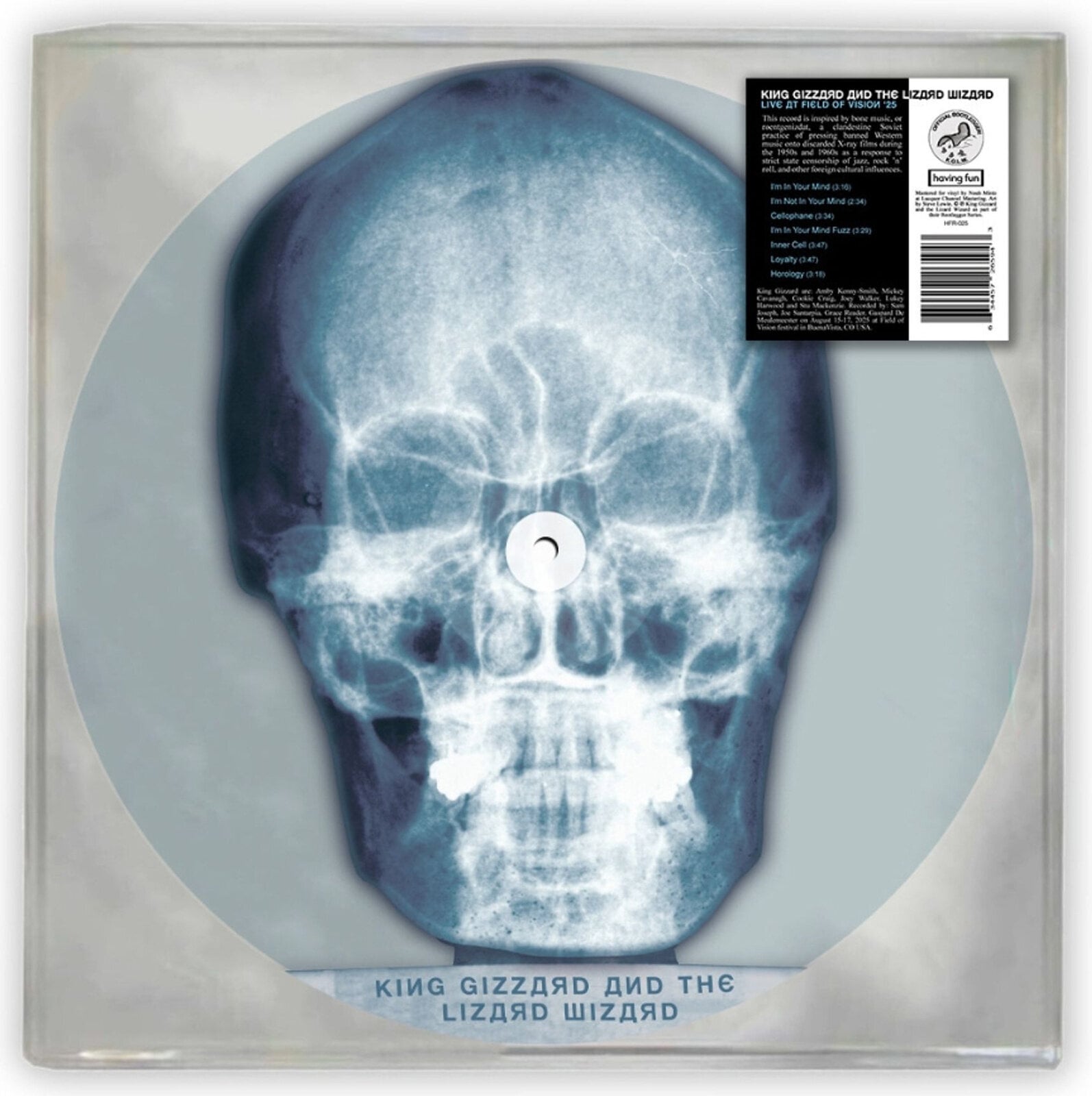 LP ploča King Gizzard And The Lizard Wizard - Skull X-Ray (Deluxe Edition) (LP)