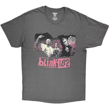 T-särk Blink-182 Logo Band Charcoal Grey L T-särk - 1