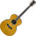 electro-acoustic guitar Yamaha LJ16BC Billy Corgan