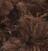 Knitting Yarn Alize Fur&Fur 493 Knitting Yarn