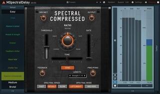 Software de studio Plug-In Efect MELDA MSpectralDelay (Produs digital)