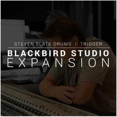 Бібліотека звуків для семплера Steven Slate SSD Blackbird (Expansion) (Цифровий товар)