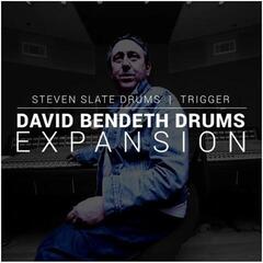Бібліотека звуків для семплера Steven Slate SSD David Bendeth (Expansion) (Цифровий товар)