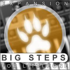 Update / Upgrade / Expansion XHUN Audio Big Steps expansion (Digital product)