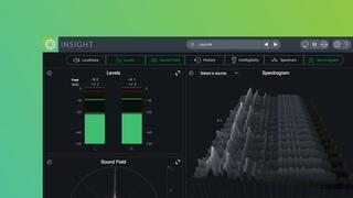 Software de studio Plug-In Efect iZotope Insight 2 (Produs digital)