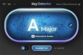 Plug-Ins Software e Processori Effetti Waves Key Detector (Prodotto digitale)