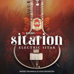Bibliotecă de sunet pentru samplere Soundiron Sitarion (Produs digital)
