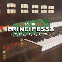 Sample/Sound Library Soundiron Principessa (Digital product)