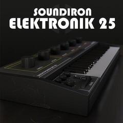Sample/Sound Library Soundiron Elektronik 25 (Digital product)