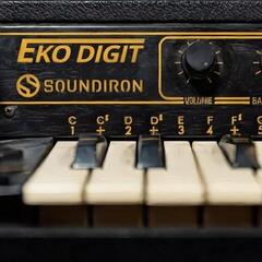 Sample/Sound Library Soundiron Eko Digit (Digital product)