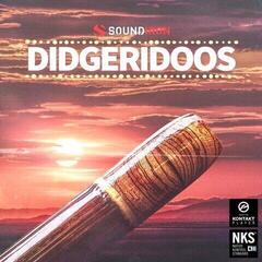 Sample/Sound Library Soundiron Didgeridoos (Digital product)
