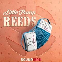 Biblioteca de samples/sons Soundiron Little Pump Reeds (Produto digital)