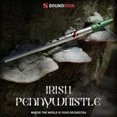 Бібліотека звуків для семплера Soundiron Iron Pack 11 - Irish Penny Whistle (Цифровий товар)