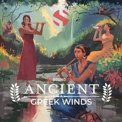 Campioni Audio e Librerie Soundiron Ancient Greek Winds (Prodotto digitale)