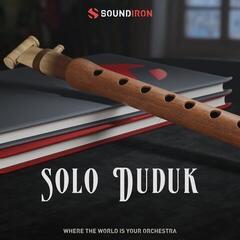 Banques de sons et samples Soundiron Solo Duduk (Produit numérique)