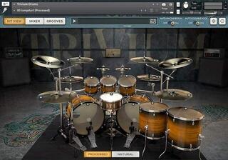 VST Instrument Bogren Digital Trivium Drums (Digitalni proizvod)