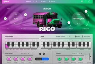 VST Instrument UJAM Rico (Digitalni proizvod)